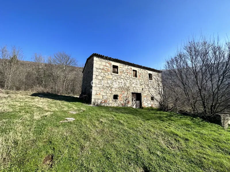 KRŠAN, TRE CASE IN PIETRA CON AMPIO TERRENO EDIFICABILE, VISTA APERTA SULLA NATURA – 3
