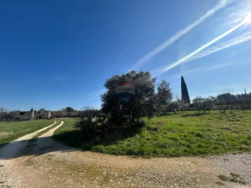 Dom Rovinj – 2