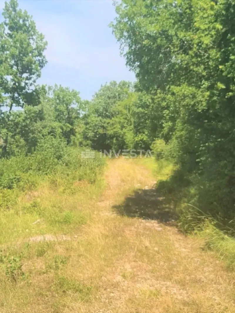 Különböző célú telkek csendes helyen, 2 km-re a tengertől – 2