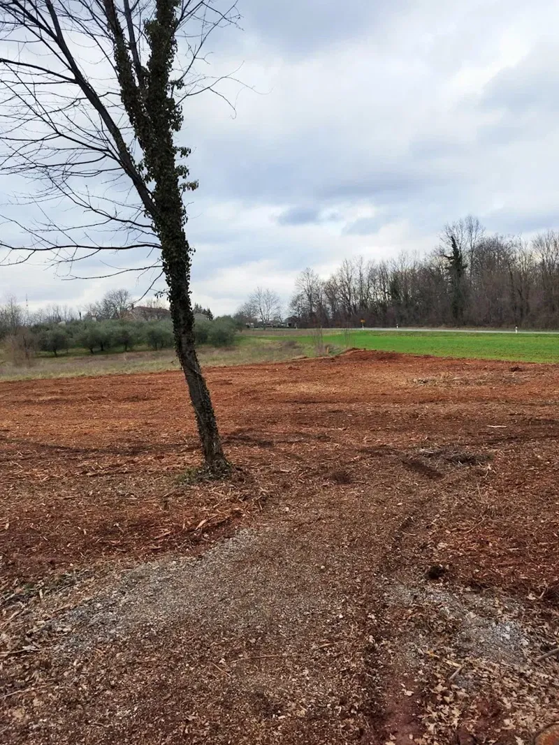 Istra, Barban, prodaja poljoprivrednog zemljišta 11700 m2