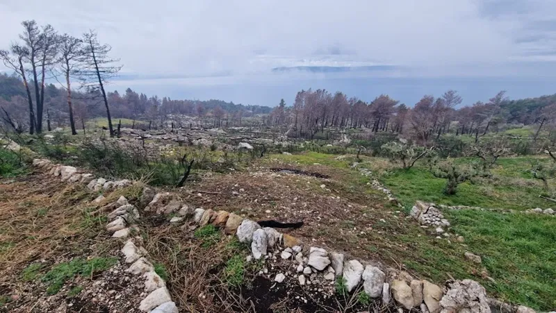 Poljoprivredno zemljište u Podgori