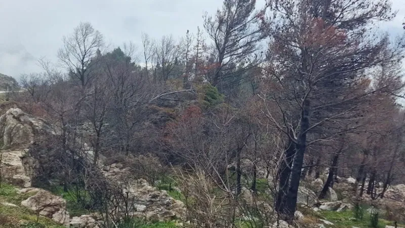 Poljoprivredno zemljište sa pristupnim putem PODGORA