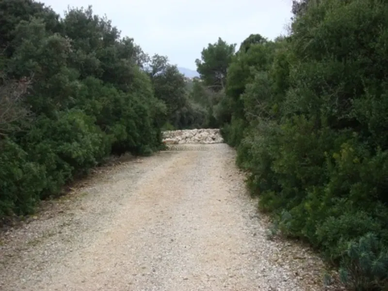Terreno Punta Križa – 2
