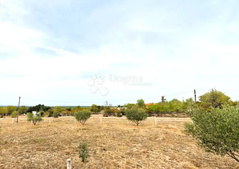 EXCLUSIVE OPPORTUNITY! Building land 2283m² near Zadar – Asphalt access, electricity and water right next to the plot! – 2