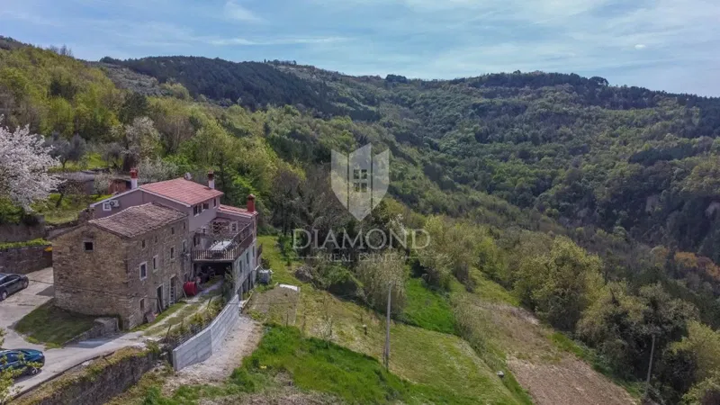 Telek Motovun – 2