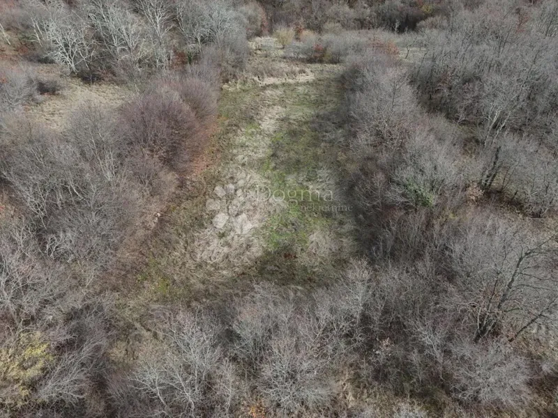 Agricultural land Manjadvorci, Barban, 6.767m2 – 3