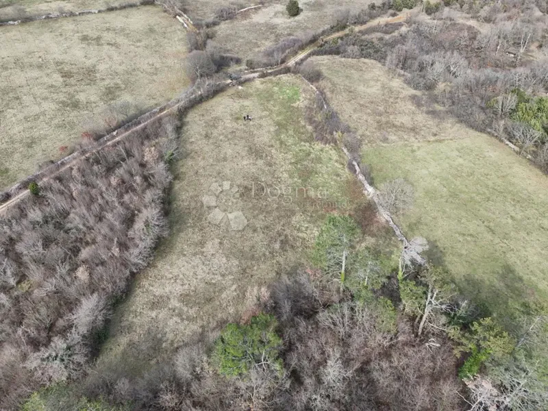 Mezőgazdasági terület Manjadvorci, Barban, 4.503m2 – 2