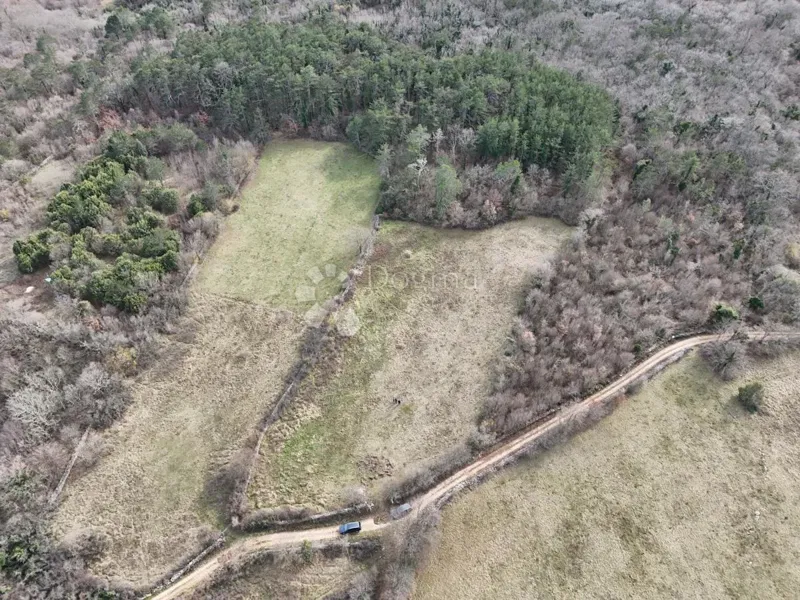Mezőgazdasági terület Manjadvorci, Barban, 4.503m2 – 3
