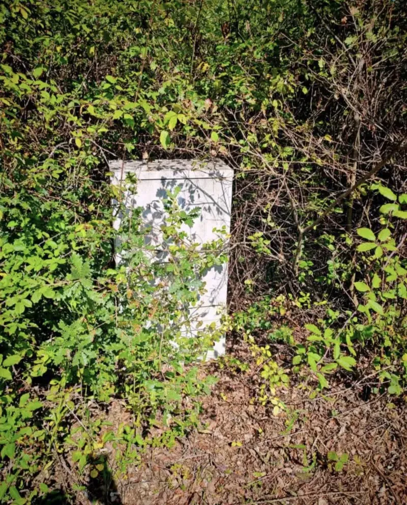 Terreno Kršan – 3