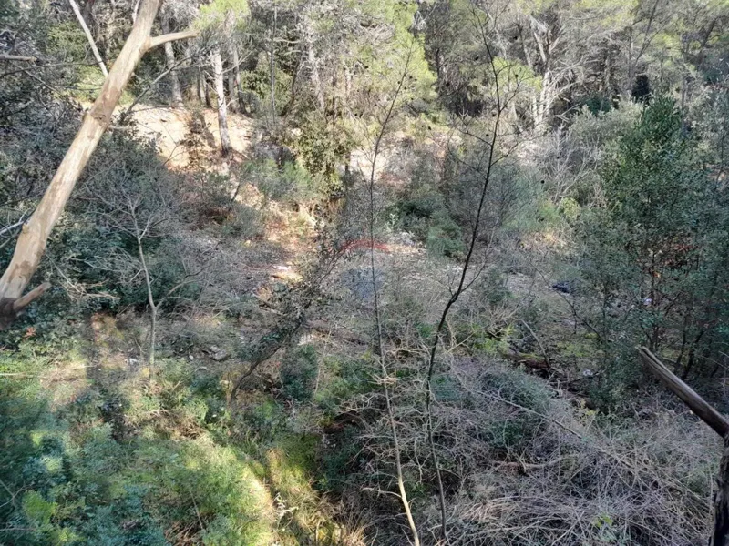 Terreno non edificabile Premantura, Medulin, 1.605m2 – 2