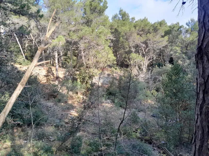 Terreno non edificabile Premantura, Medulin, 1.605m2 – 3