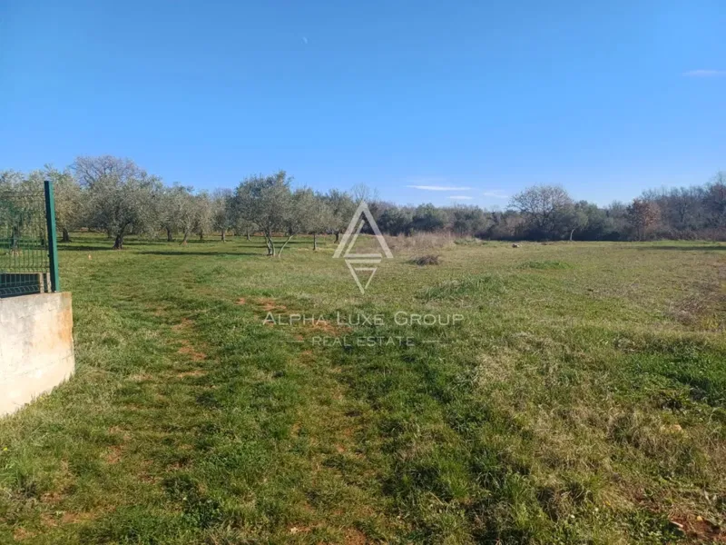 Vabriga, Istria – Two excellent plots for sale – 3