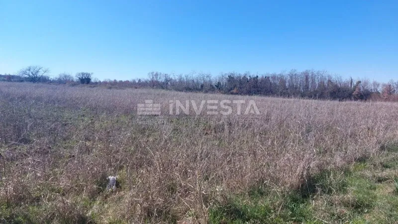Agricultural land near Baredine Cave – 3