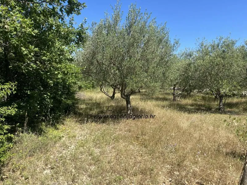 PRILIKA! - PRIDRAGA-građevinsko zemljište 1.111m2