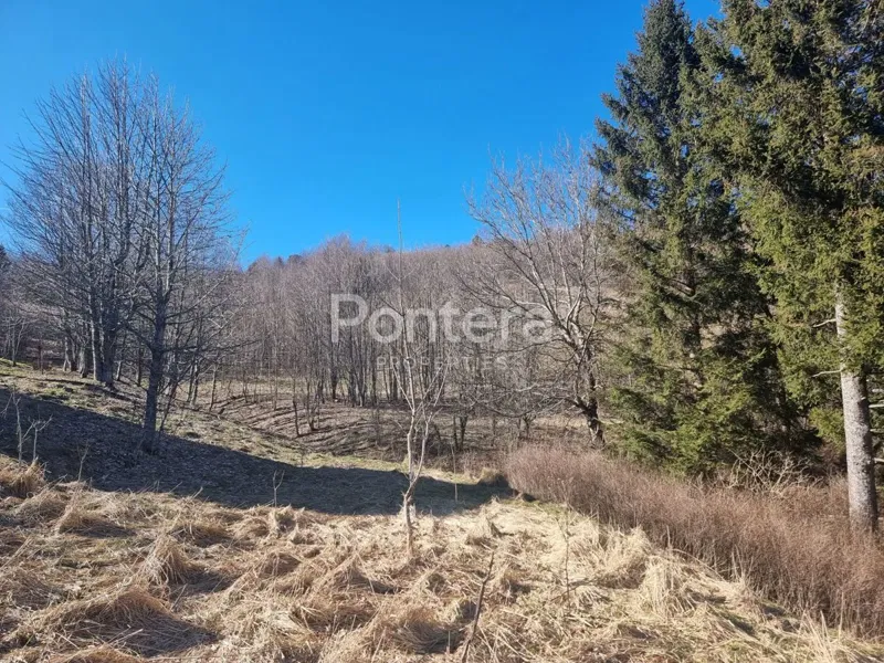 Föld Mrzla Vodica, Lokve, 14.500m2