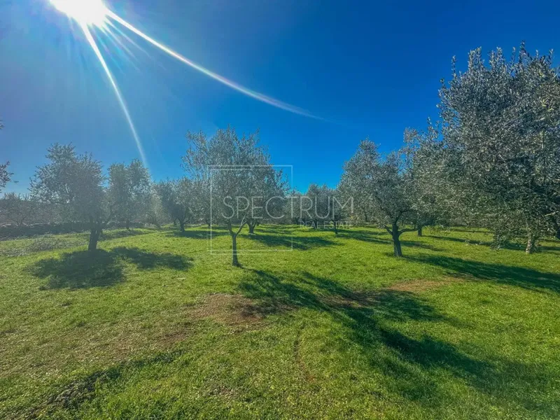 Zona di Buie, terreno edificabile con potenziale – 3