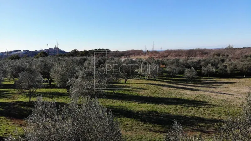 Zona di Buie, terreno edificabile in posizione tranquilla – 3
