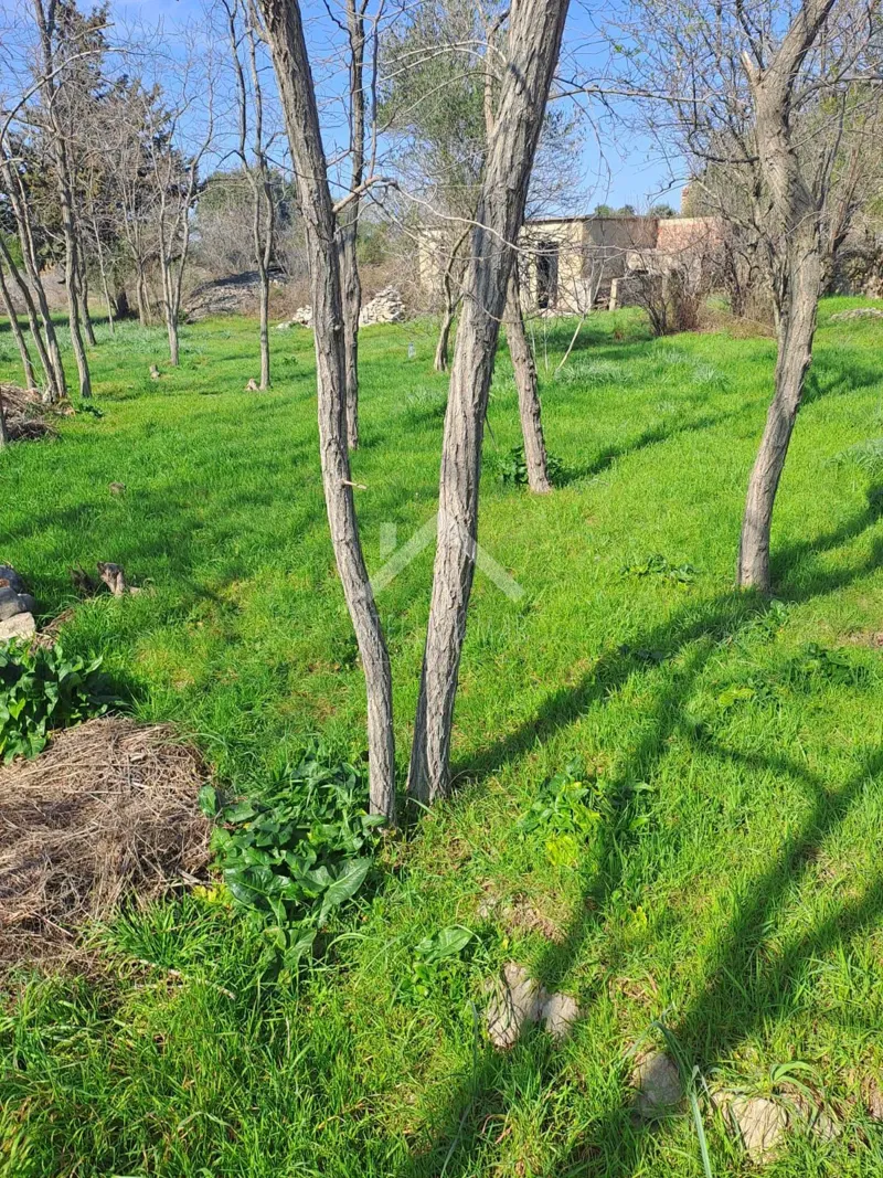 Land Vrsi, 774m2 – 3