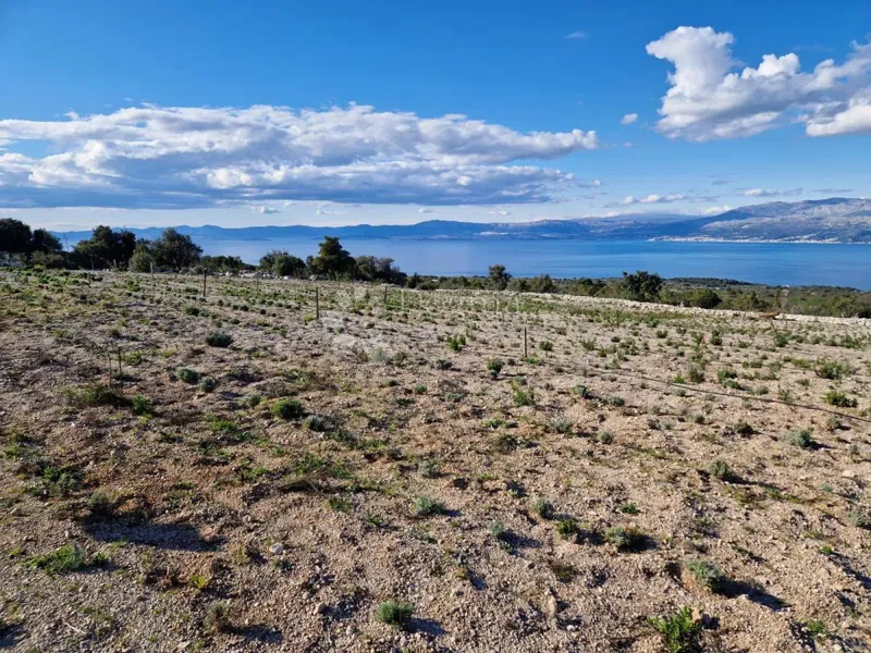 Agricultural land Donji Humac, Nerežišća, 10.600m2 – 2