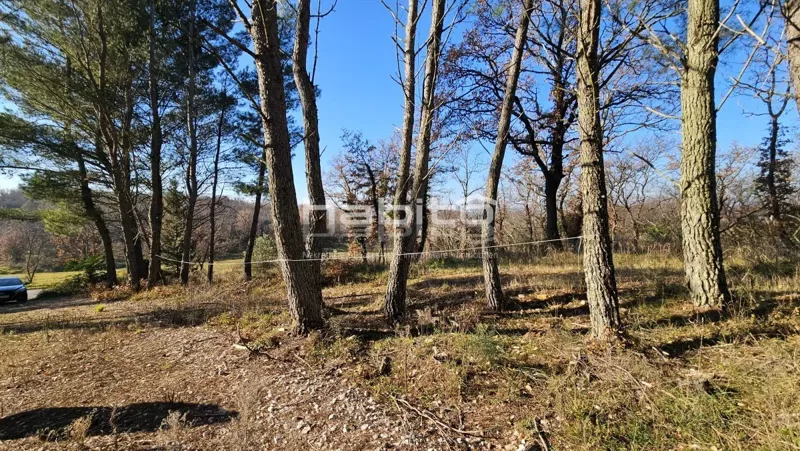 Porec - Agricultural land in an attractive location near the sea – 2
