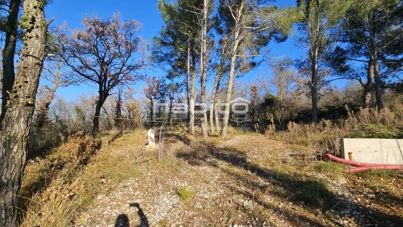 Porec - Agricultural land in an attractive location near the sea – 3