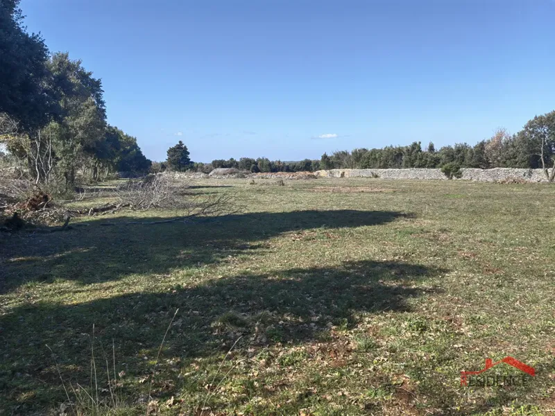 Agricultural land in Kavran – 2