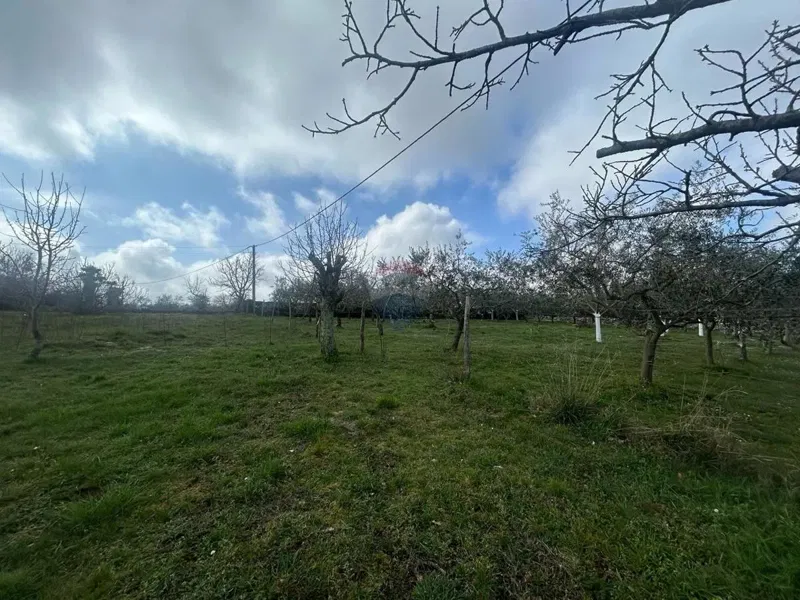 Terreno edificabile Poreč, 884m2 – 2