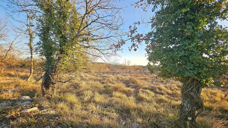 Terreno non edificabile Grožnjan, 3.716m2 – 2
