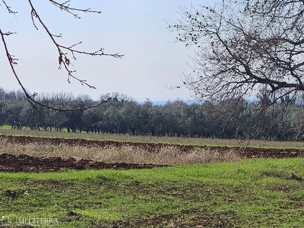 Građevinsko zemljište u Novigradu, Istra