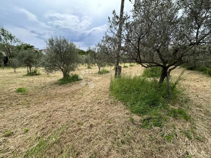 Föld Valtura, Ližnjan, 4.330m2 – 2