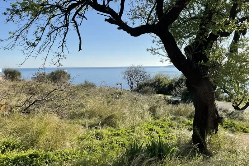 Old stone house with land by the sea – 2
