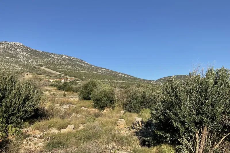 Old stone house with land by the sea – 3