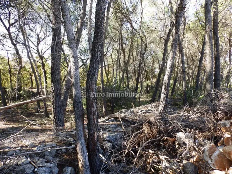 Dubrava near Šibenik - building land with a hall – 3
