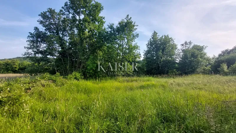 Istria, Buje area - building land 1,500m2; near Grožnjan – 2