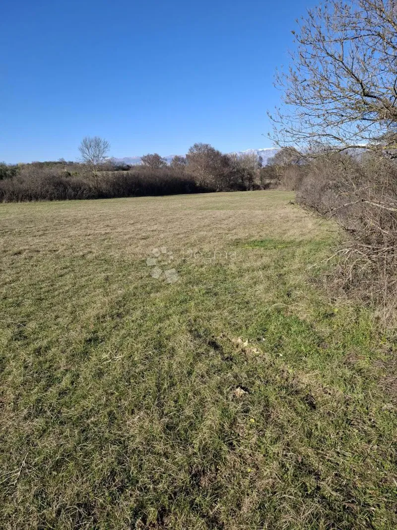 Agricultural land Suhovare, Poličnik, 1.006m2 – 2