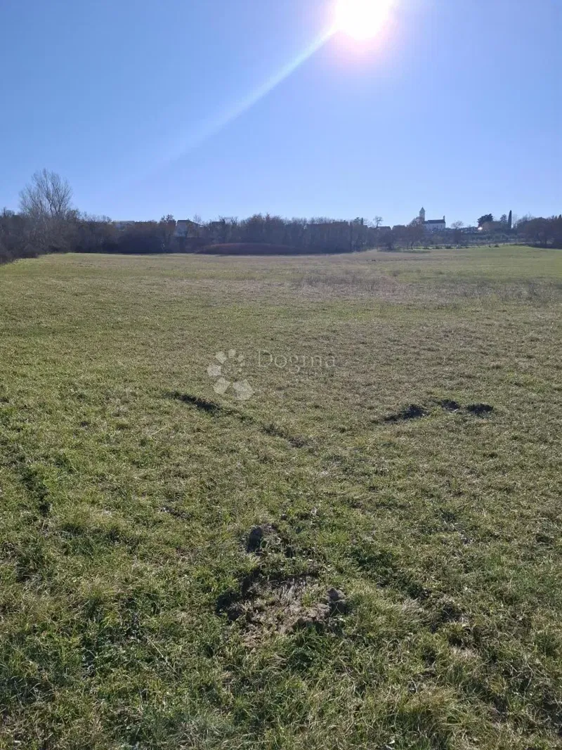 Agricultural land Suhovare, Poličnik, 1.006m2 – 3