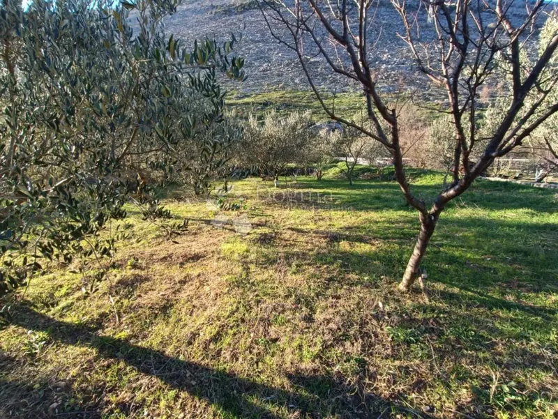 Terreno agricolo Srinjine, Split - Okolica, 539m2 – 2
