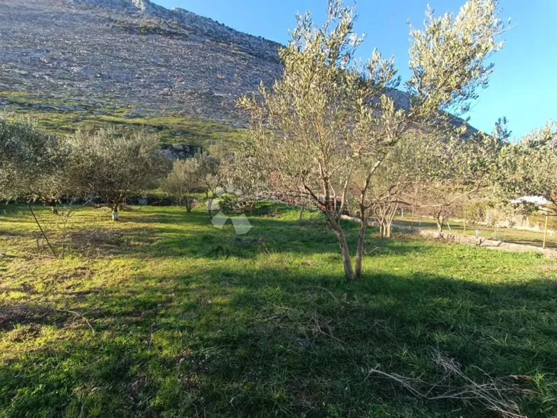 Terreno agricolo Srinjine, Split - Okolica, 539m2 – 3