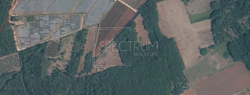 Kaštelir area, spacious agricultural land with forest – 2