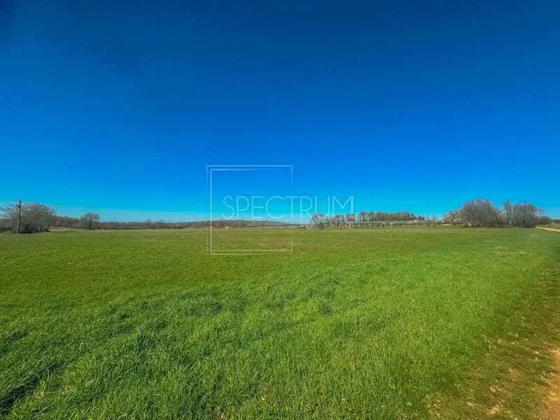 Kaštelir area, spacious agricultural land in a quiet location – 3