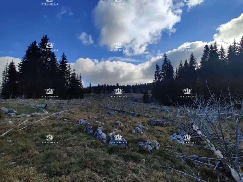 Istra, Orbanići, terreno agricolo di 18.332 m² con bosco. – 2