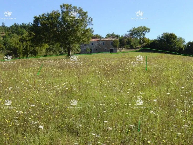 Istria, Motovun, vendita di terreni edificabili/agricoli, costruzione, ville, fattorie, ranch con cavalli... – 3