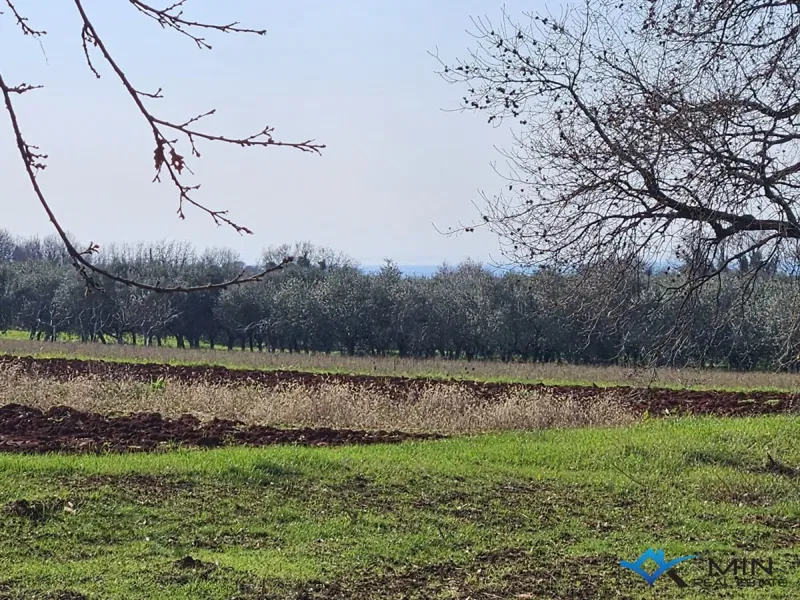 Building land in Novigrad – 2