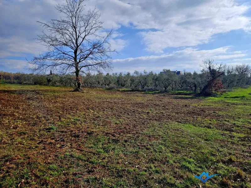 Building land in Novigrad – 3