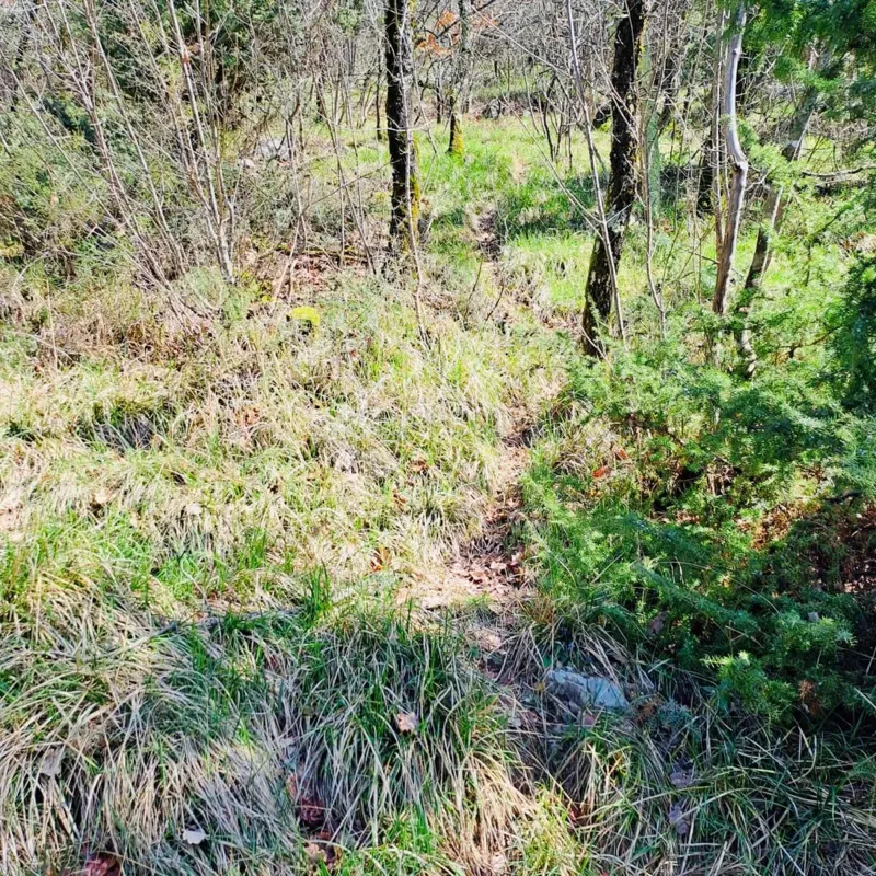 Mezőgazdasági terület Marinići, Viškovo, 7.399m2 – 2