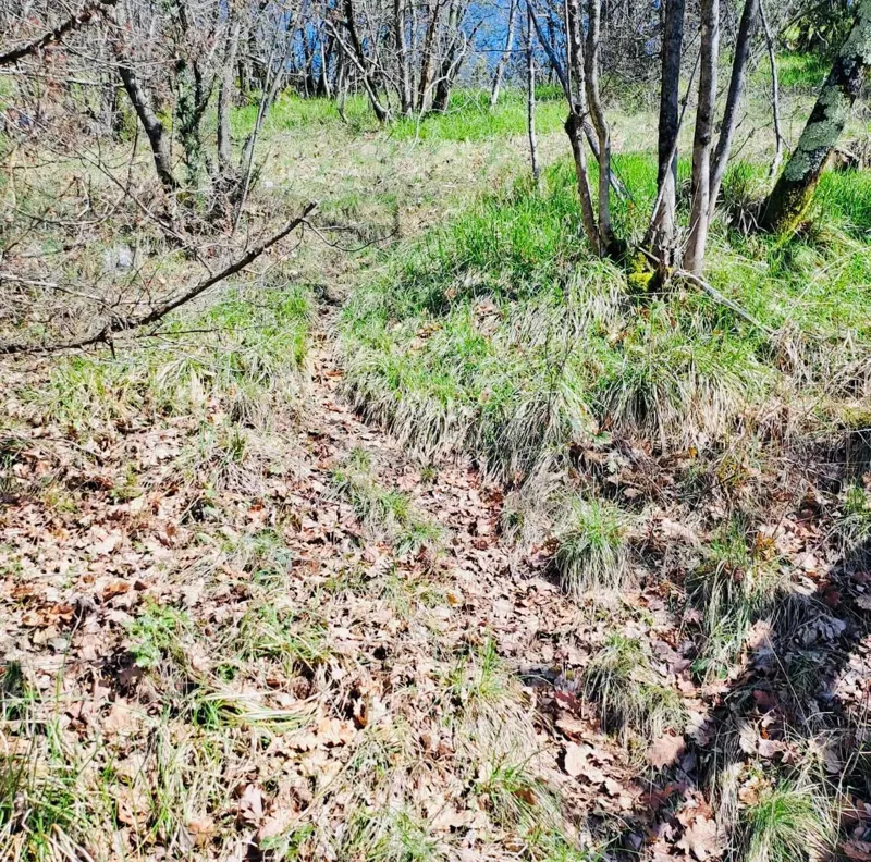 Mezőgazdasági terület Marinići, Viškovo, 7.399m2 – 3