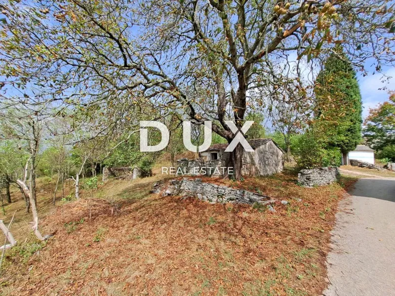 ISTRIA, GROŽNJAN, DINTORNI - terreno di 60.000 m², con un edificio di 21 m² – 2
