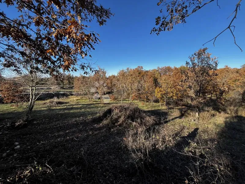 Działka Čabrunići, Svetvinčenat, 1.031m2 – 2