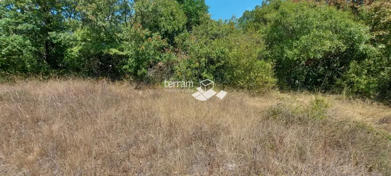 Istra, Ližnjan, Šišan, сельскохозяйственная земля 10573 м2, #продажа – 2