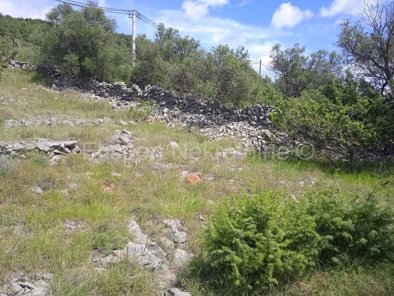 Telek Podorljak – 2
